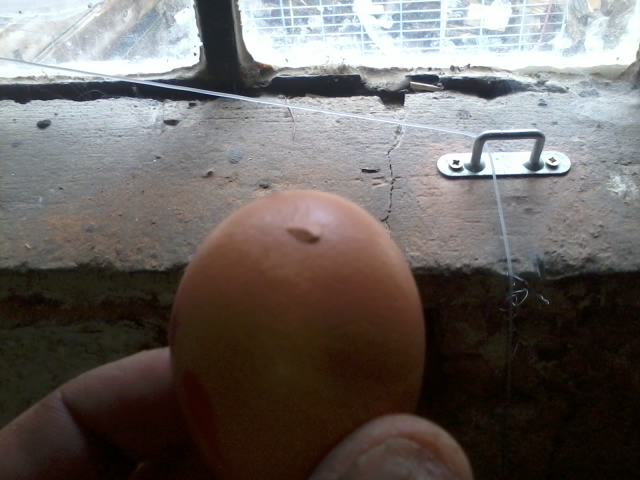 2013-06-14 08.48.42.jpg