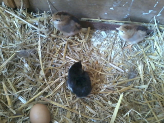 2013-06-16 07.58.52.jpg