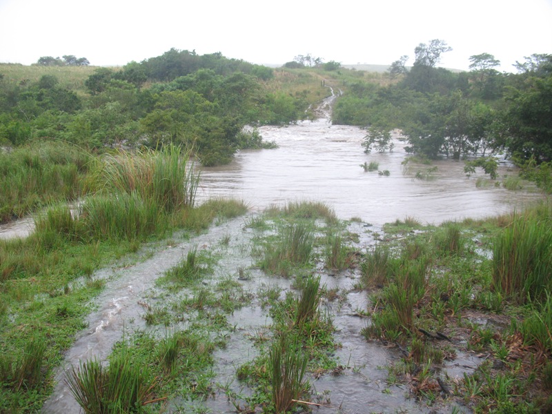 river_abnormal.JPG