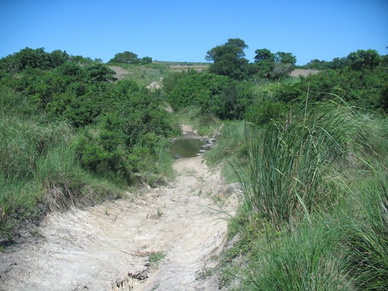 river_normal.JPG