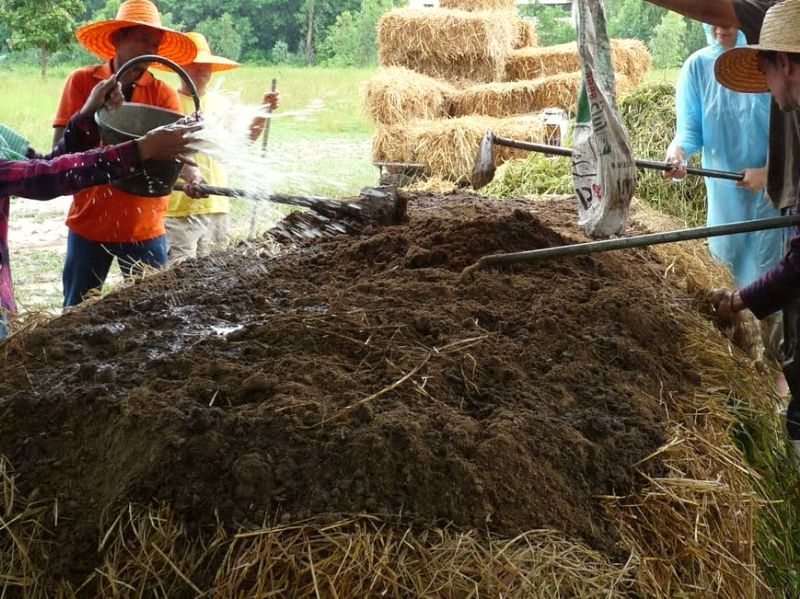 compost.jpg