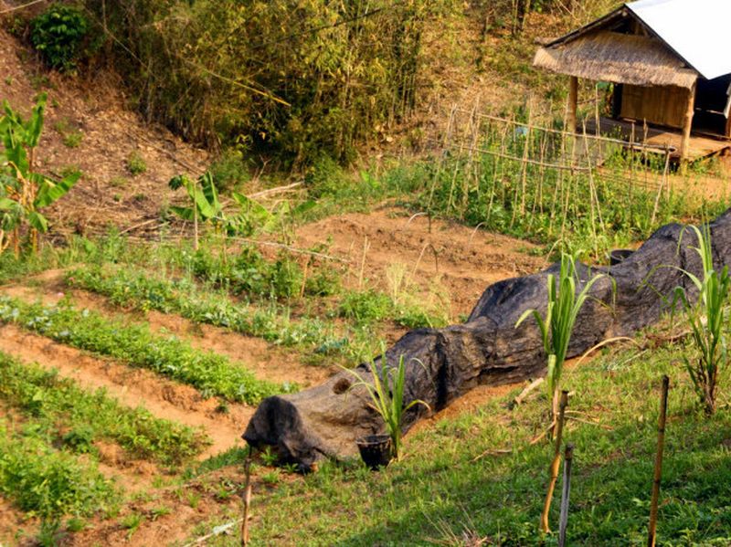 Farm slope ..jpg