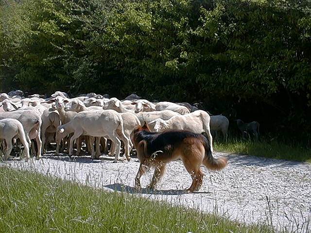 Treiben3.jpg