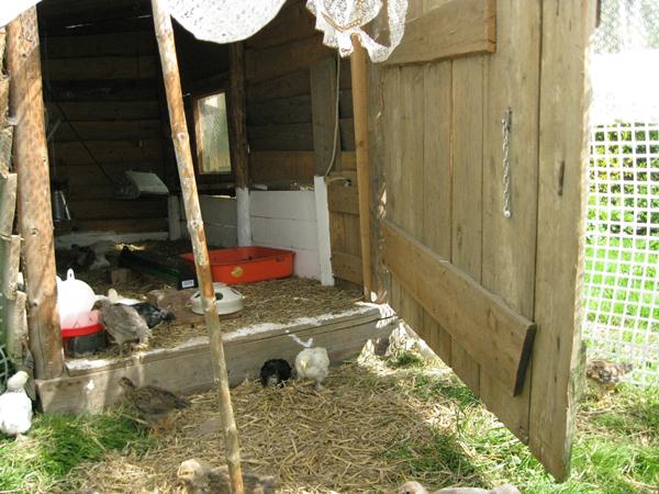 20110505_03.jpg