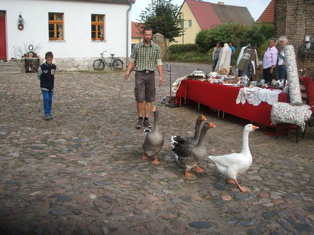 k-gänsekonn3i.jpg