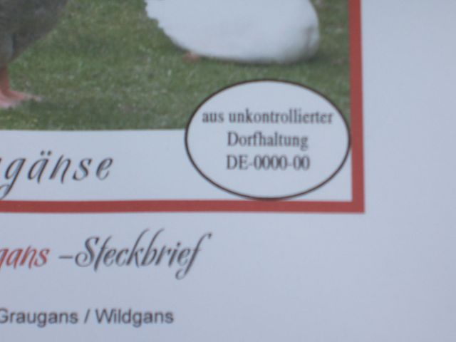 k-unkontrollierte_dorfhaltung.jpg