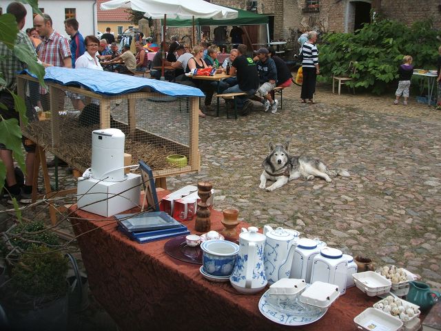 k-konrads_hund2.jpg