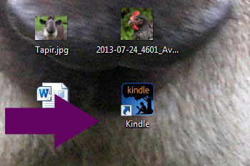 Kindle-Icon
