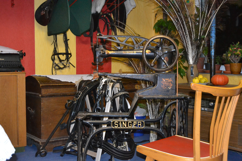 DSC_0005_256.jpg