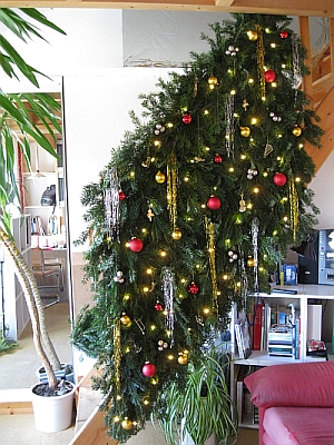 Weihnachtswand.jpg