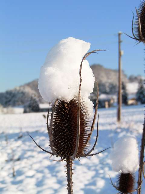 und dann kam er doch, der schnee.JPG