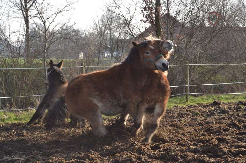 Verkehrsunfall!!!<br />Keine Rauferei.