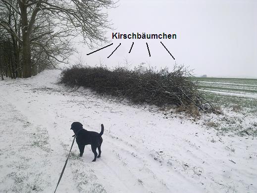 benjes.JPG