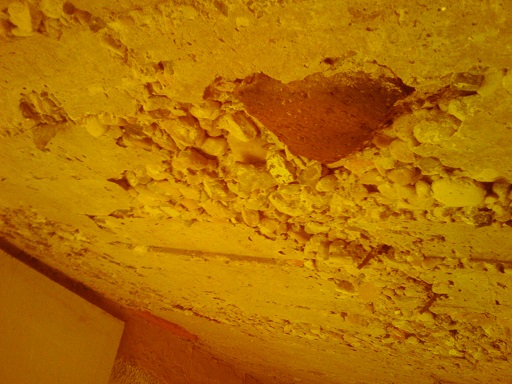 Bild1.jpg