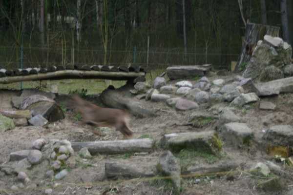 verkleinert(3).jpg