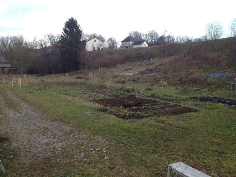 Bild1.jpg