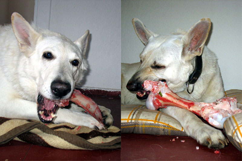 dankbar und glücklich :)