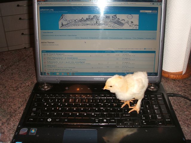 k-mir ist langweilig.jpg