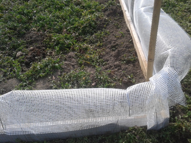 20140302_121700.jpg