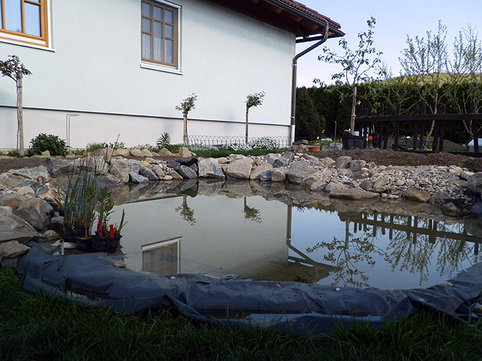 P4110868jpg.jpg