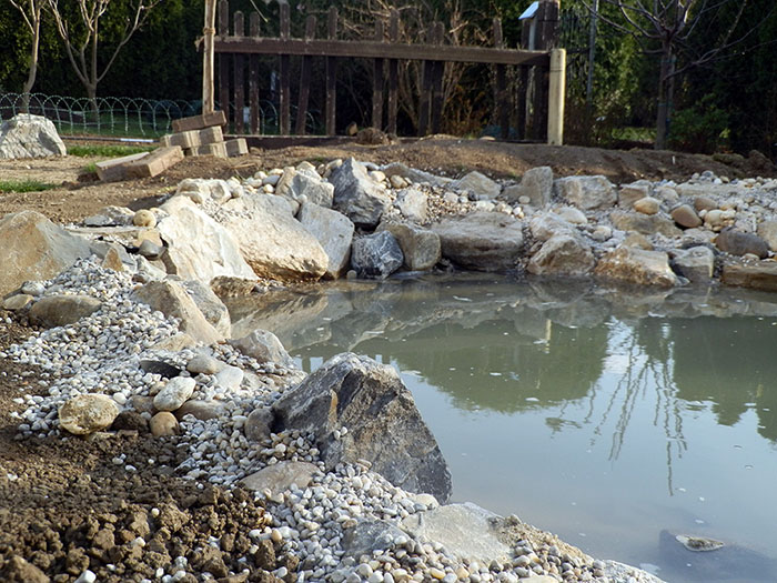 P3220745jpg.jpg