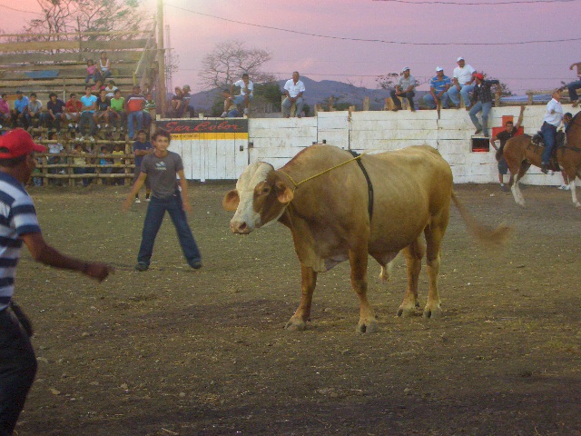 Was für ein schöner Braten!