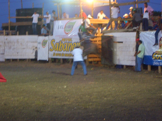 Stierreiten! Nichts für mich.