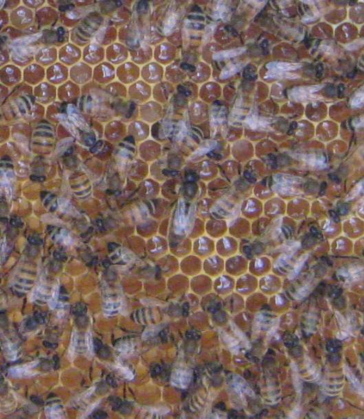 140714 Queenspotting.jpg