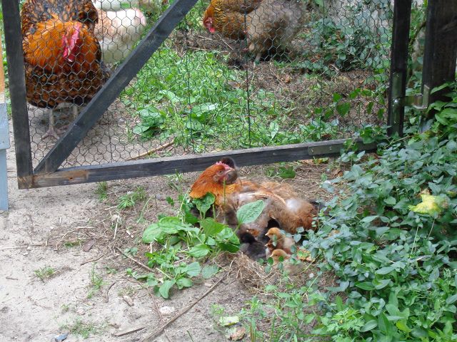 Er guckt sie sich ganz genau an, sind das alles meine?