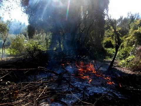 Feuer verwandelt.JPG