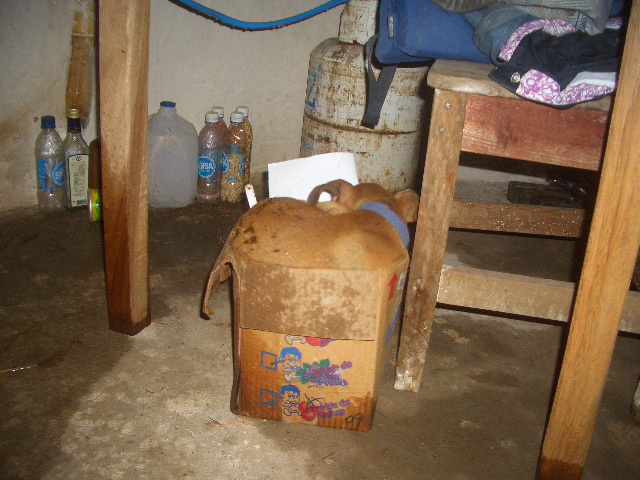 sogar der Hund suchte sich ein höheres Plätzchen!