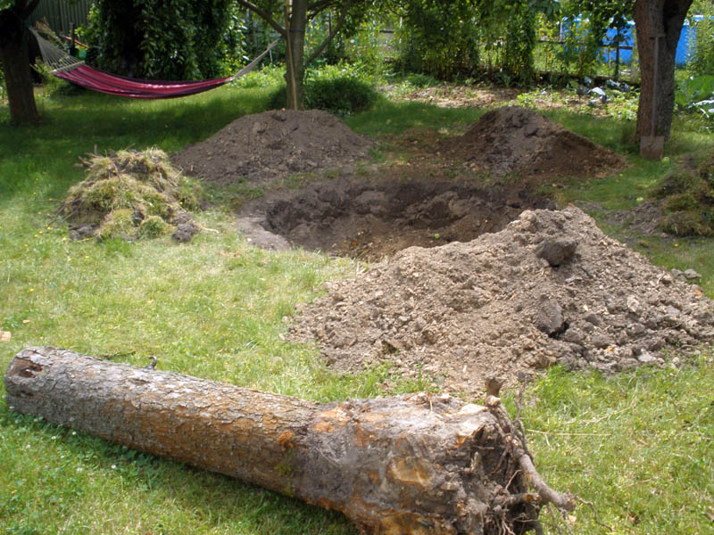 baum-2.jpg