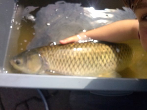2014-08-11_001.jpg