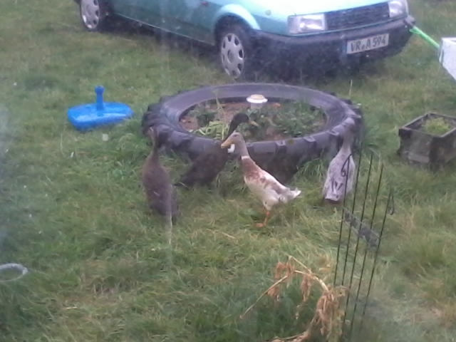 2014-08-29 17.30.58.jpg