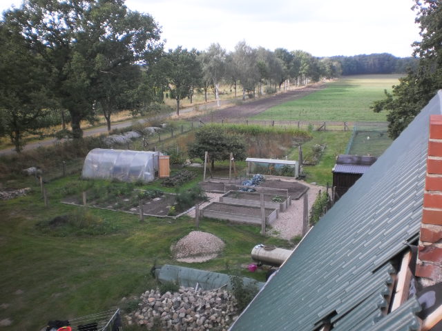 P9130001.JPG