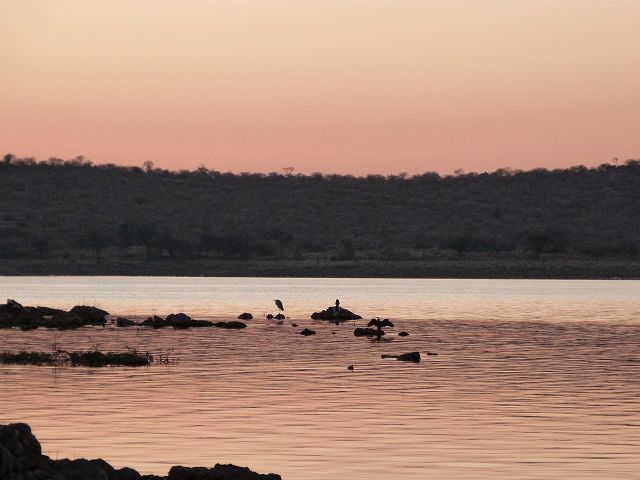 k-P1000327.JPG