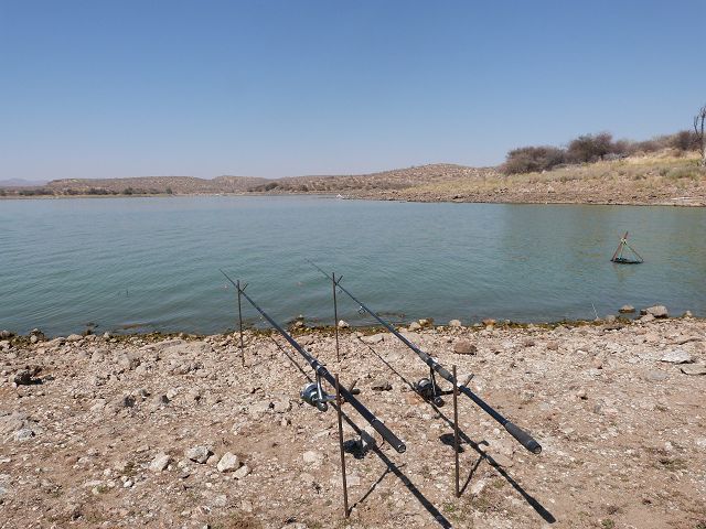 k-P1000337.JPG
