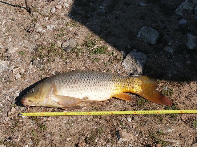 k-P1000336.JPG