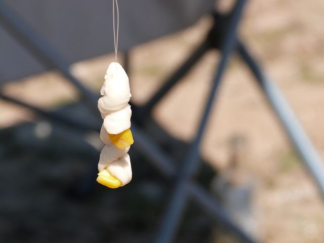 k-P1000339.JPG