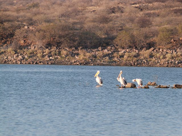 k-P1000332.JPG