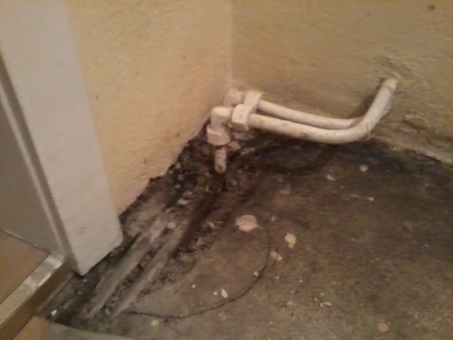 2014-09-30 05.51.50.jpg