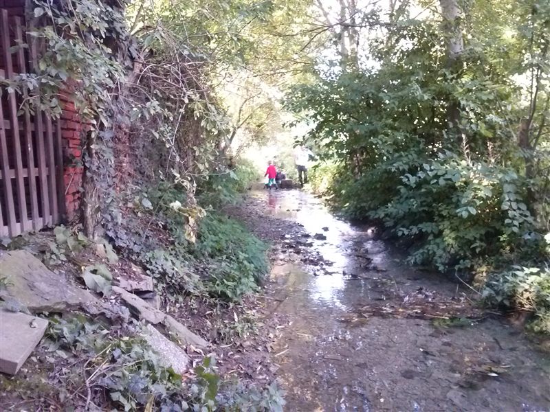 Man beachte den Hund schön sitz im Wasser