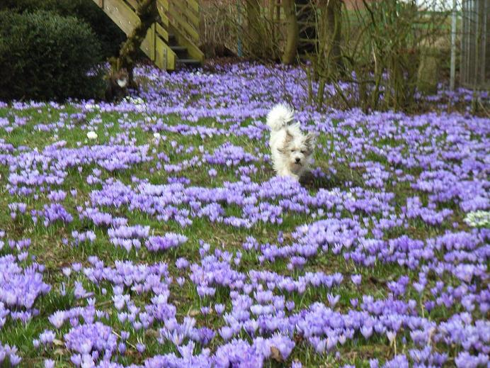 nicht ganz passend zur Jahreszeit