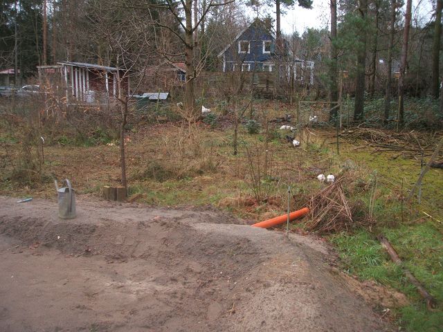 k-küken.jpg