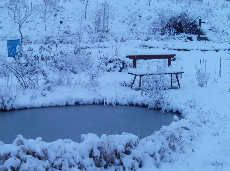 seltenes ereignis.jpg