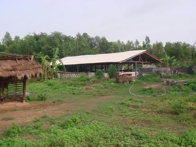 Der Stall mit dem neuen Dach