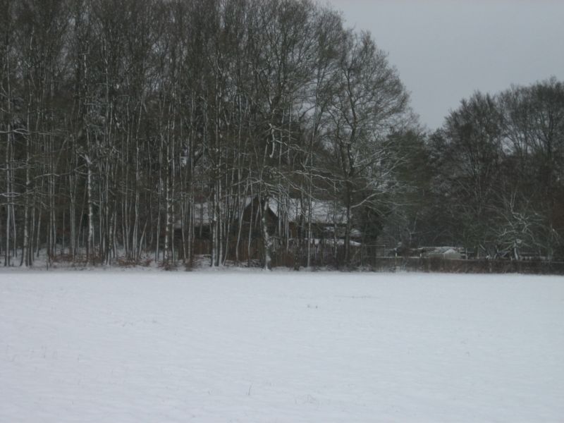 Winter2015 004.jpg