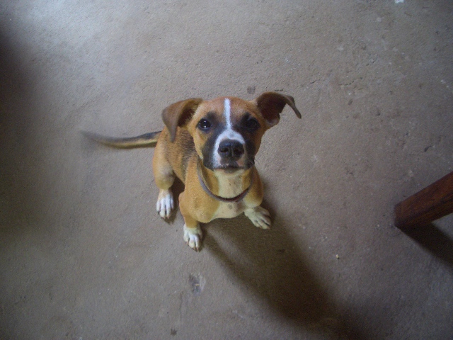 die Haushüterin wird immer größer!