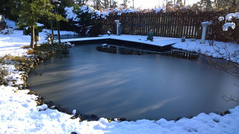 WP_20150130_14_58_12_Pro (Kopie).jpg