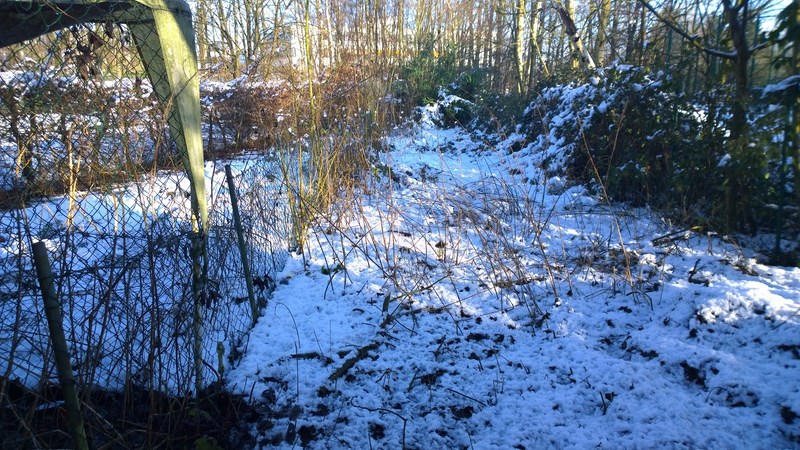 Garten _ Mein Reich (Kopie).jpg